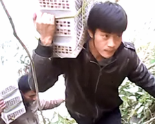 ‘Hôi của’ ở Quảng Bình: “Chúng tôi không dựng chuyện“