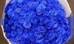 Quà 'độc' cho ngày Valentine