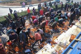 Công khai hình ảnh kẻ 'hôi của' để xử lý hình sự