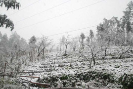 Lào Cai lại xuất hiện băng giá, nhiệt độ tiếp tục giảm sâu