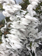 Hà Nội rét 8 độ, băng giá phủ trắng vùng núi cao