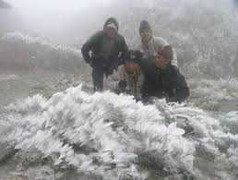 Sa Pa xuất hiện băng tuyết, rét buốt thấu xương