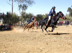 Cuộc đua ngựa kỳ thú trong ngày Valentine tại Đà Lạt