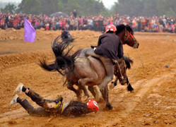 Thót tim pha 'vồ ếch' của kỵ sĩ Hà Nội