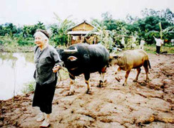 NSND Khải Hưng và những chuyện chưa kể về ‘Mẹ chồng tôi’