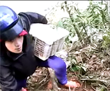 ‘Hôi của’ ở Quảng Bình: Người ‘hôi nhãn’ thừa nhận