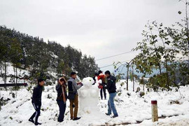 Video: Sa Pa lại có tuyết rơi