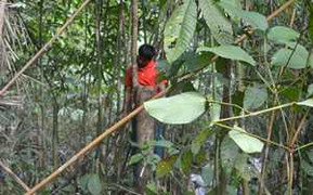 Đâm chết vợ rồi treo cổ tự tử