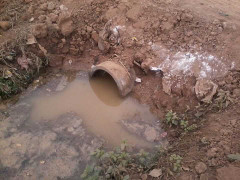 Hà Nội: Đi làm đồng, cuốc trúng sọ người bọc trong túi nilon