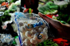 Siêu thị đồng loạt thu hồi nấm không nguồn gốc