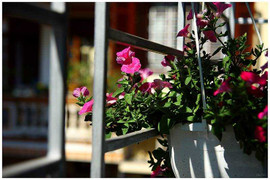 Thời tiết hôm nay có gì khởi sắc?