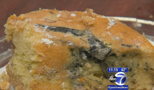 Ăn phải bánh sinh nhật kẹp chuột chết