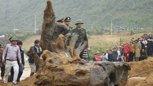 Vụ đi bắt cá được sưa 'khủng': Ông trùm xuất hiện, tình thế thay đổi