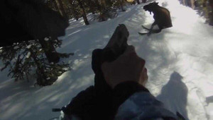 Clip: Chú nai xông phi đạp ngực người trượt tuyết