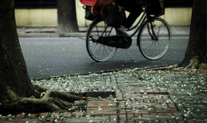 Miền Bắc đón rét, miền Nam đề phòng triều cường