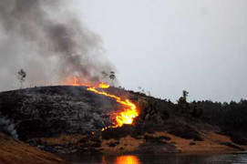 Cháy dữ dội rừng Hoàng Liên: Thủ tướng lập tức vào cuộc