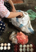 Lén lút bán gà cấm