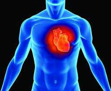 Những thói quen gây hại trái tim