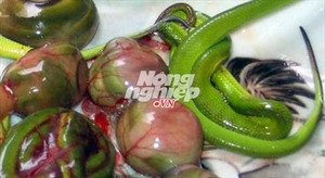 Săn hàng tăng “bản lĩnh đàn ông“: Rợn người hà nàm tái