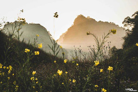 Không khí lạnh tăng cường, mưa rét kéo dài