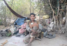 Kỳ lạ người đàn bà 20 năm bỏ nhà ăn ngủ ở bụi tre