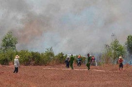 Rừng phòng hộ phía tây TP HCM cháy dữ dội nhiều giờ liền