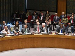 Nga phủ quyết nghị quyết lên án trưng cầu dân ý ở Crưm