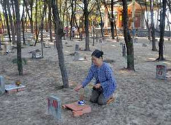 Kỳ lạ 'nghĩa địa cá Ông' rộng hàng ngàn mét vuông