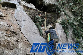 Rắn khổng lồ giữ kho báu trong hang Tố Mộ?