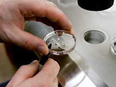 Nỗi khổ quý ông không