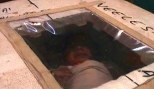 Nuôi con bằng phương pháp mạo hiểm