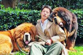 Đại gia địa ốc chi hơn 40 tỷ đồng mua thú cưng