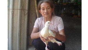 Bí ẩn 'chim thần thời Vua Hùng' có 9 móng vuốt