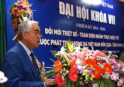 VFF: Kiểm phiếu còn nhầm, mơ gì chuyên nghiệp