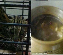 Nữ sinh tung ảnh phản cảm, dân mạng nổi giận