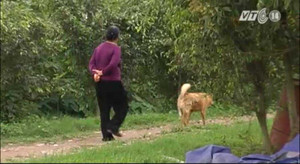 Nghi án hối lộ 80 triệu Yên: Khu nhà ga chỉ là bãi đất hoang