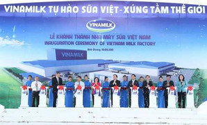 Ấn tượng lợi nhuận, quy mô hoạt động của Vinamilk
