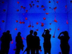 Cận cảnh công viên hải dương lớn nhất thế giới