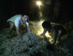 Clip: Mưa đá kinh hoàng tấn công Cao Bằng, 5 người bị thương