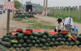 Dưa hấu ế ở cửa khẩu tràn về Hà Nội