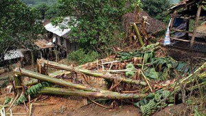 Cao nguyên đá Đồng Văn tan hoang sau mưa đá