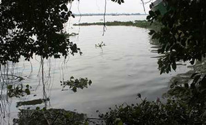 Vận động viên bơi lội chết đuối thương tâm trên sông Sài Gòn