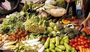 Hoang mang rau, củ, quả biến đổi gen