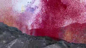 8 triệu cánh hoa phun trào từ miệng núi lửa