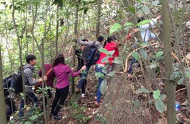 Phản cảm cảnh phá rào, băng rừng lên dâng hương vua Hùng