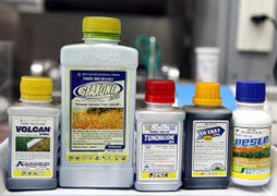 Mẹ cho con trai 11 tháng uống thuốc diệt cỏ để cùng chết