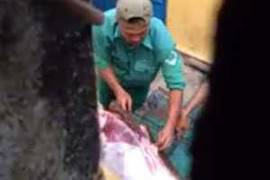 Xẻ thịt nai ở công viên: Kỷ luật hàng loạt cán bộ