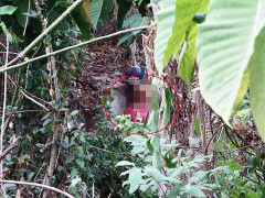 Người mẹ một con chết thương tâm trong nghĩa trang