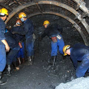 Soi lương nhân viên ngành Than