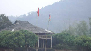 Chuyện 'thần rừng' bắt vợ ở rừng lim Bắc Giang